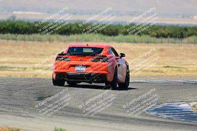 media/Jul-27-2024-Speed Ventures (Sat) [[14cea0cda4]]/Black/Grapevine 1035am/